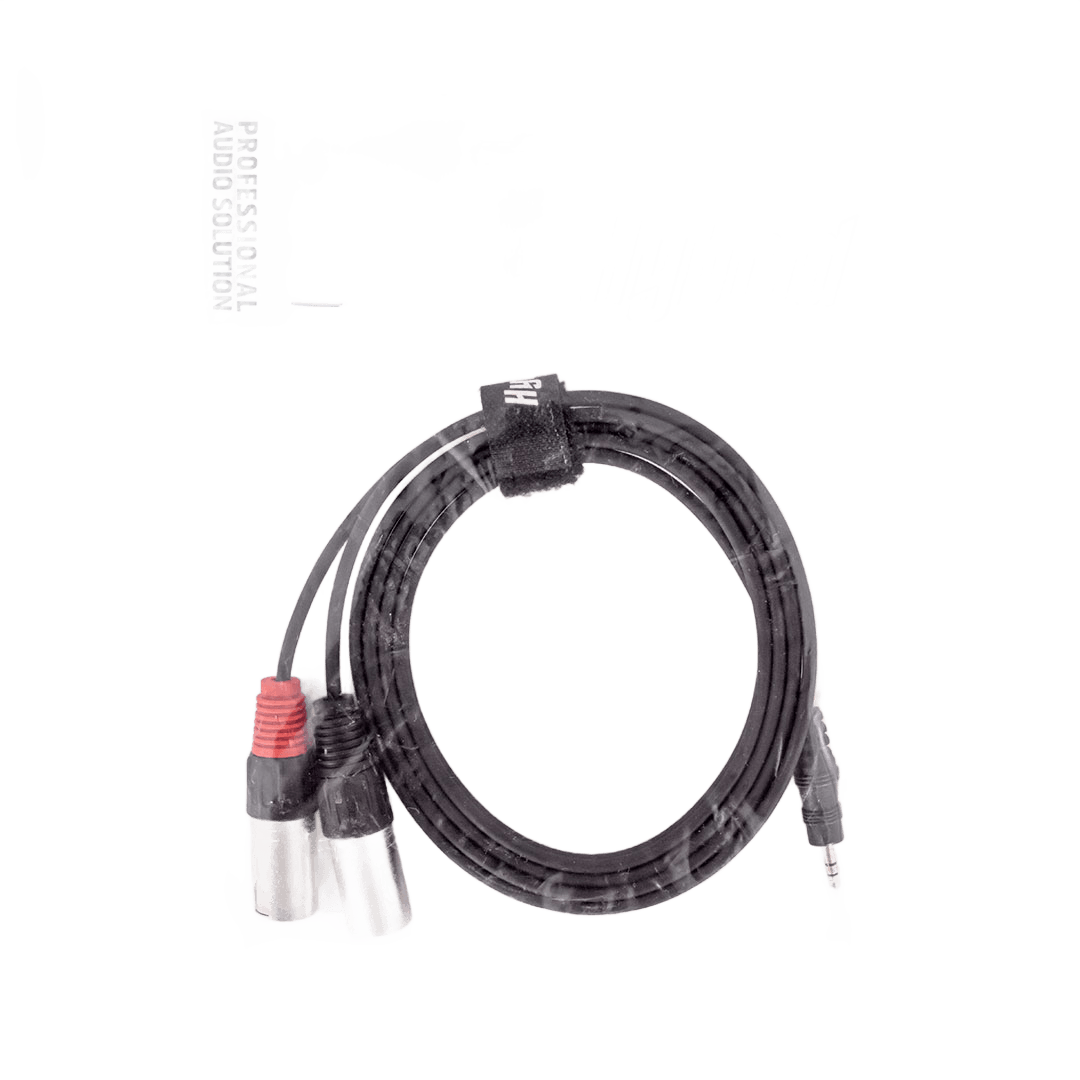 Hybrid Dual XLR Male – Minijack 1.8m