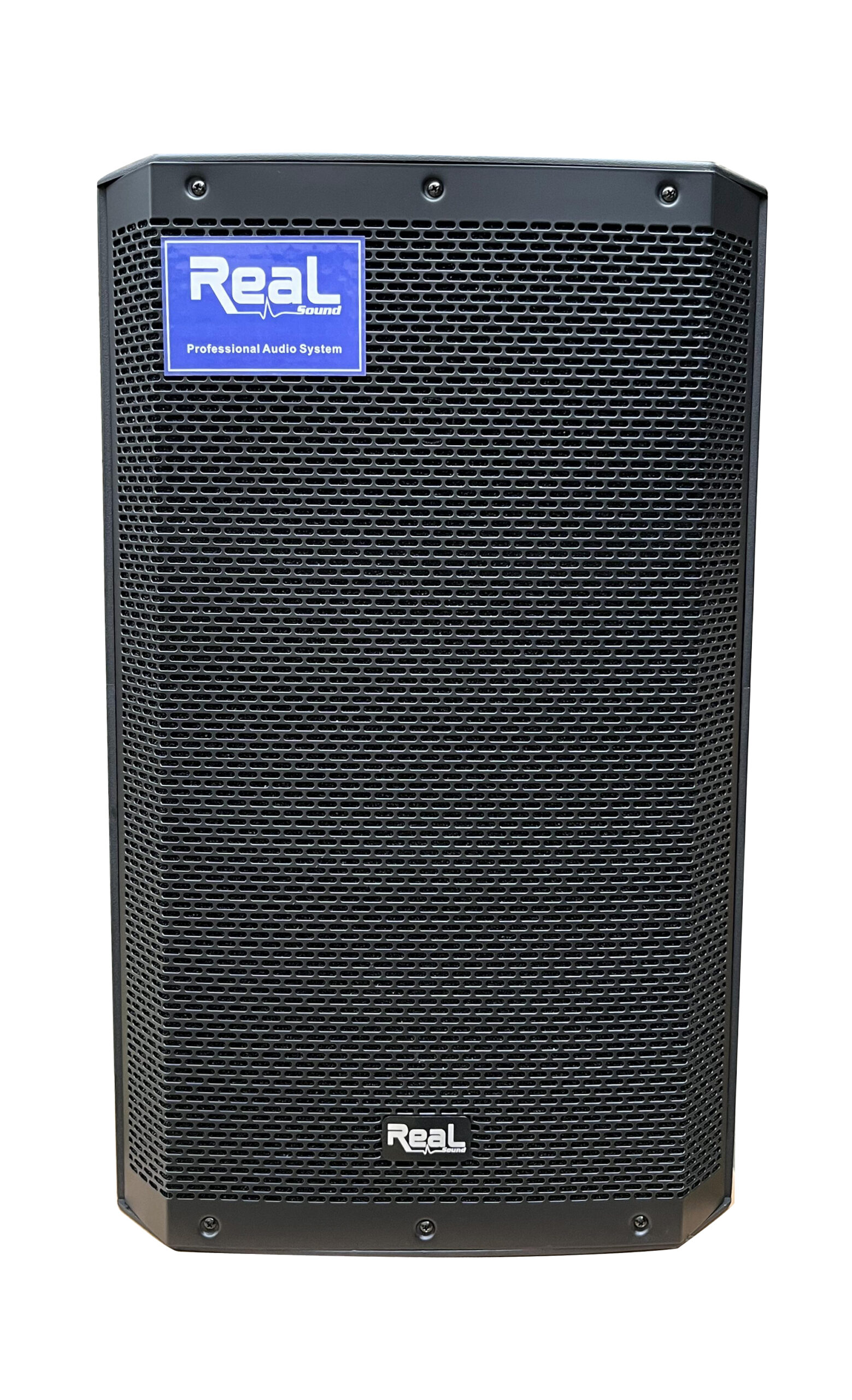 Real Sound ZX15P Active 15″ Speaker